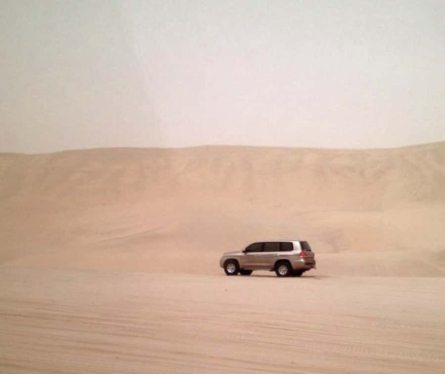 Doha Desert Safari: Sandboarding, Camel Ride & Swimming Fun - The camel stop gives you a quick Bedouin introduction