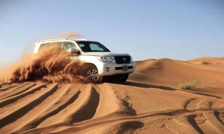 Doha Desert Safari: Sandboarding, Camel Ride & Swimming Fun - What to pack for a dry, sandy, wet afternoon