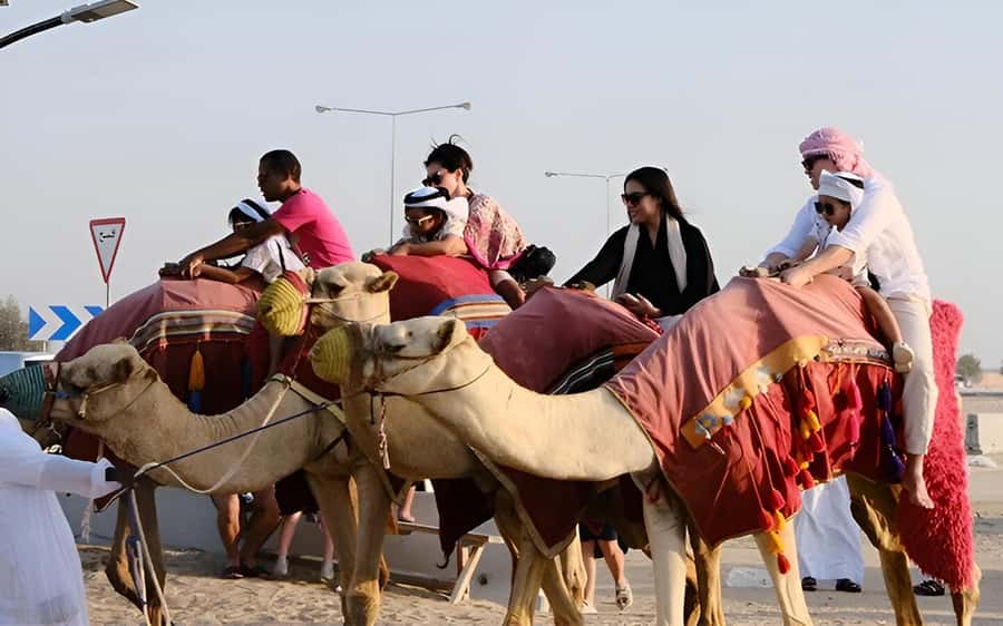Doha: Desert Safari, Sandboarding, Dune Bashing & Inland Sea - What dune bashing feels like in Qatar
