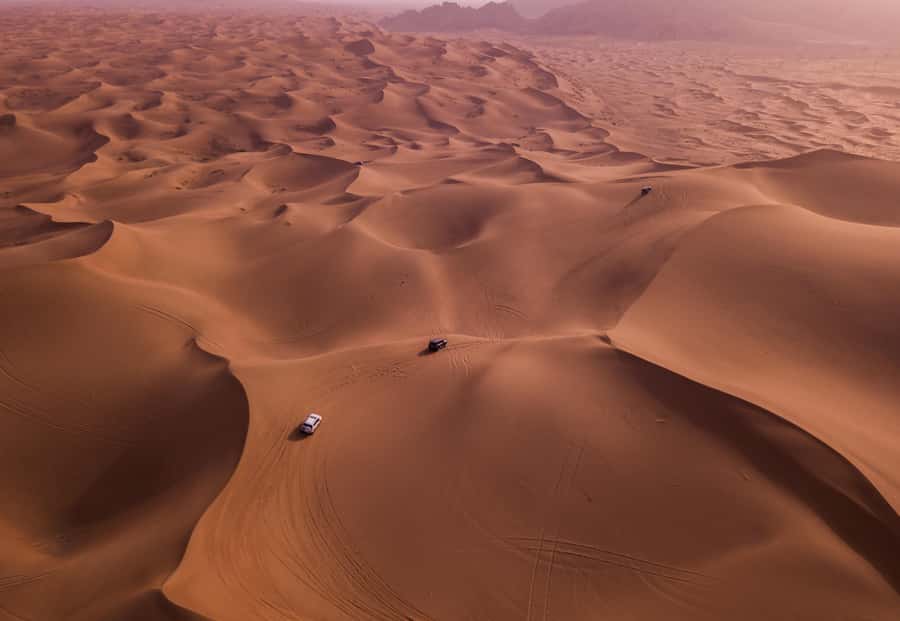 Doha: Desert Safari, Sandboarding, Dune Bashing & Inland Sea - Sandboarding on the dunes