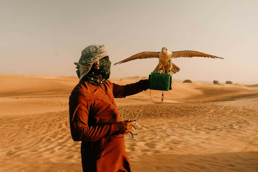 Doha: Desert Safari, Sandboarding, Dune Bashing & Inland Sea - Timing, comfort, and what to bring