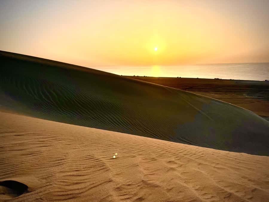 Doha: Desert Safari Sunrise Tour/Sunset Tour - Returning to Doha after four hours