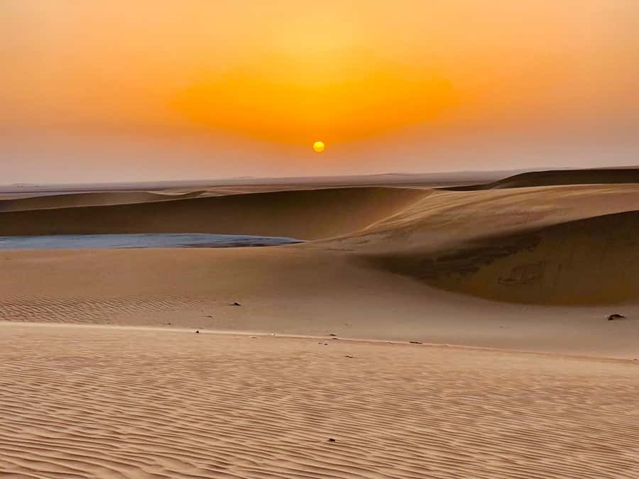 Doha: Desert Safari Sunrise Tour/Sunset Tour - The camel stop near Mesaieed