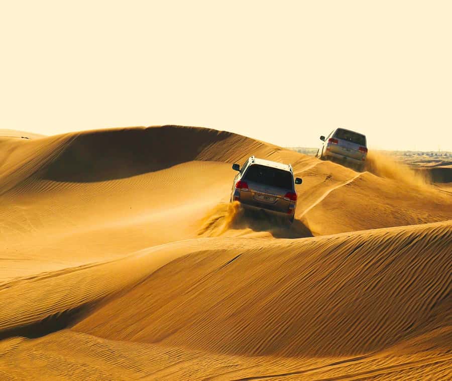 "Doha Desert Safari with all activities" - Key points to know before booking