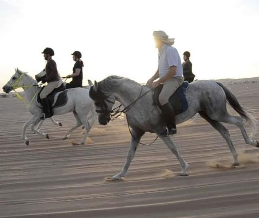 Doha: Desert Safari with Camel Ride and Quad Bike and Buggy - Sand boarding lets you use the dunes yourself