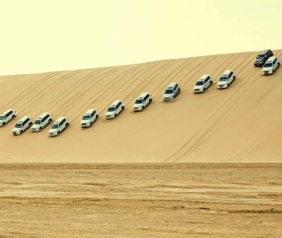 Doha: Desert Safari with Camel Ride and Quad Bike and Buggy - What the $220 price really buys you