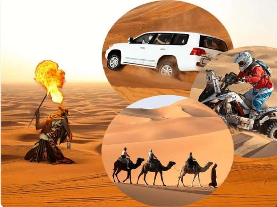 Doha:Desert Safari with Camel Ride, ATV Bike,& Sand Boarding - A quiet camel ride before the action