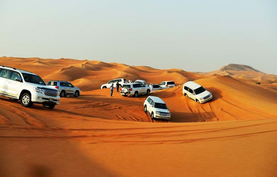Doha: Desert Safari with Camel Ride Family Friendly Tour - Camels, falcons, and a first taste of desert life