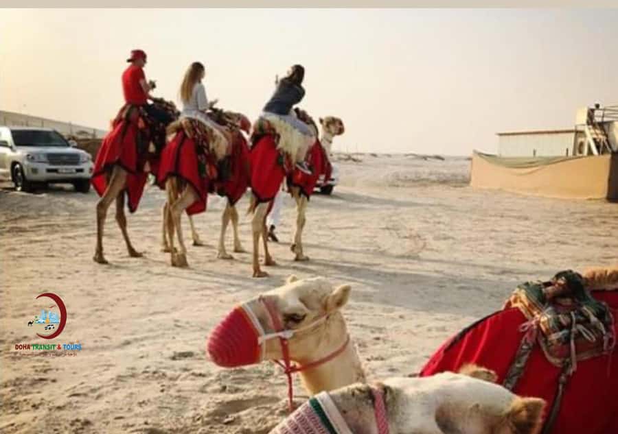 Doha: Desert Safari with Dune Bashing and Inland Sea - The second dune drive beside the Inland Sea