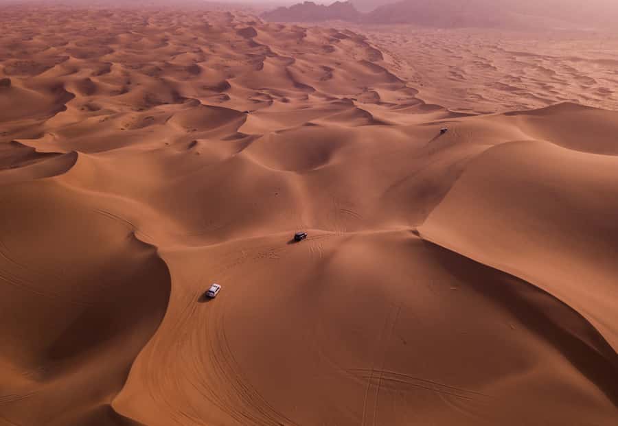 Doha: Desert Safari with Quad Bike, Sandboard & Camel Ride - Who will enjoy this desert safari?