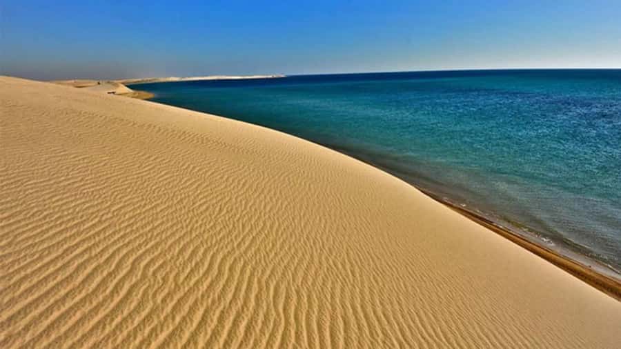 Doha: DesertSafari with Quad Bike, Camel Ride & Sandboarding - Key points at a glance
