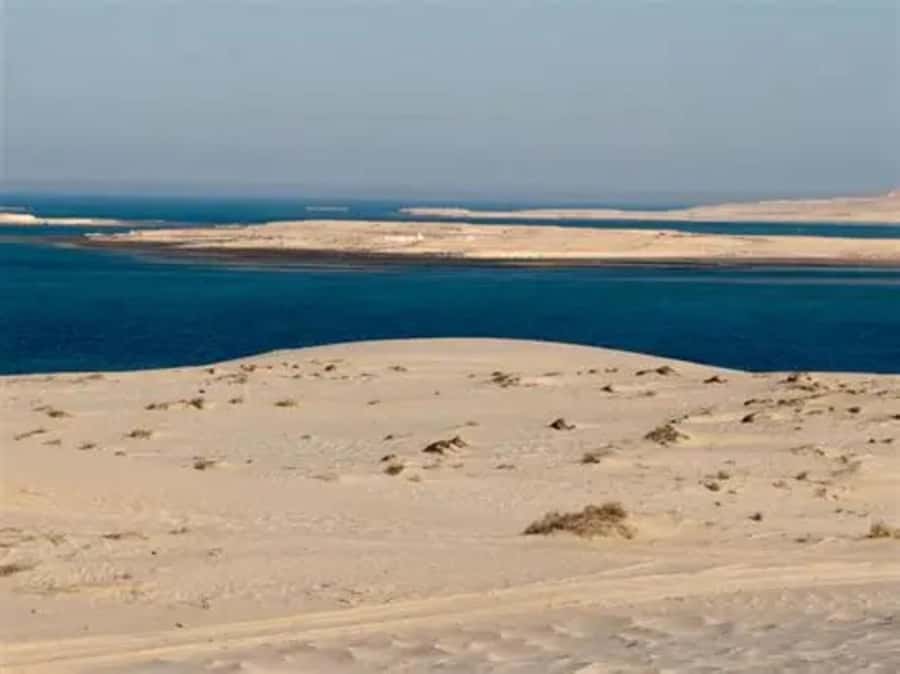 Doha: DesertSafari with Quad Bike, Camel Ride & Sandboarding - Who will get the most from this safari