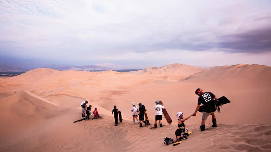 Doha: Dune Bashing Safari, Falcon, Camel, ATV, Sandboarding - Sealine’s camels, falcons, and Bedouin-style stop