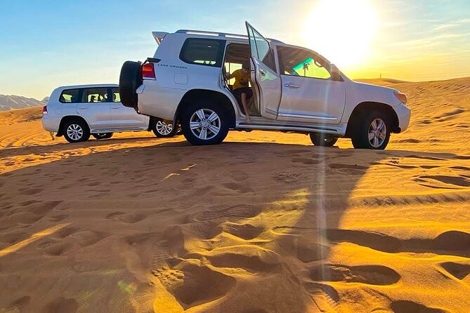 Doha: Escape to Eternity, Relaxing Desert Wonders with Camel Ride - Mesaieed: camels, falcons, and a Bedouin camp