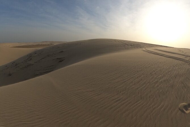 Doha: Escape to Eternity, Relaxing Desert Wonders with Camel Ride - What the $79 price really buys you