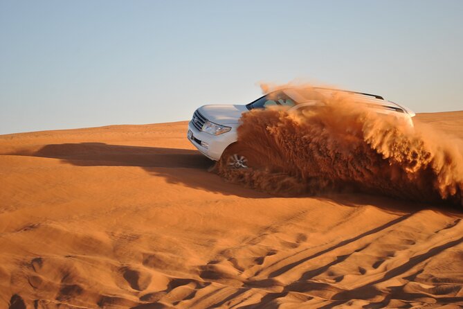 Doha: Escape to Eternity, Relaxing Desert Wonders with Camel Ride - Who should book this desert trip?