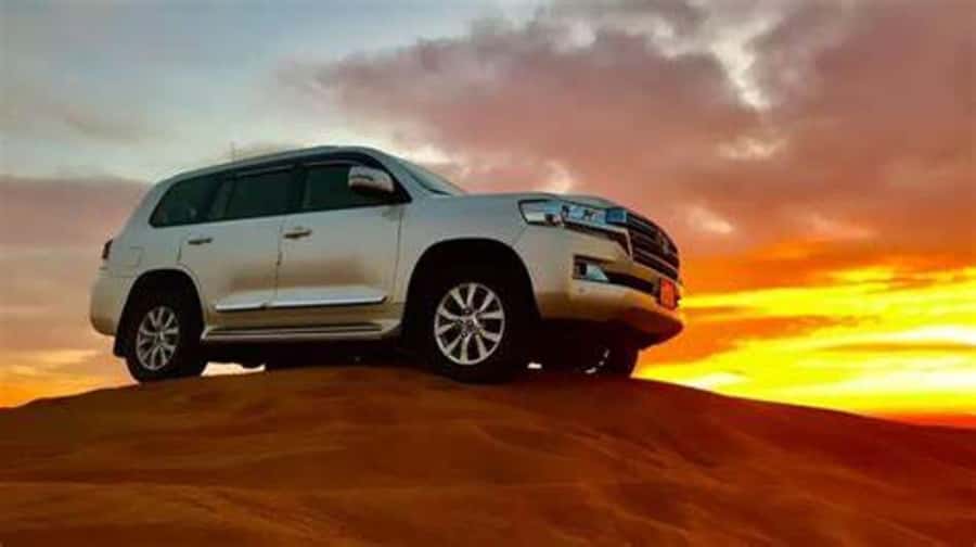Doha: Full-Day Desert Safari, Dune Bashing & BBQ Dinner - Two 40-minute dune-bashing runs