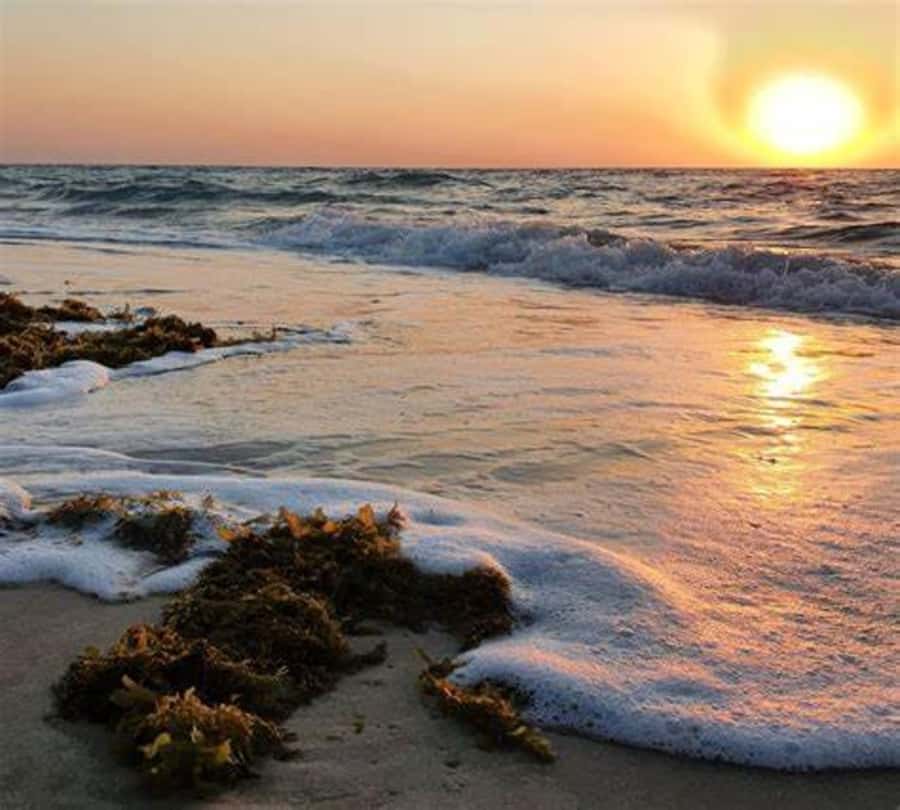 Doha: Full-Day Desert Safari, Dune Bashing & BBQ Dinner - Who will enjoy this day most
