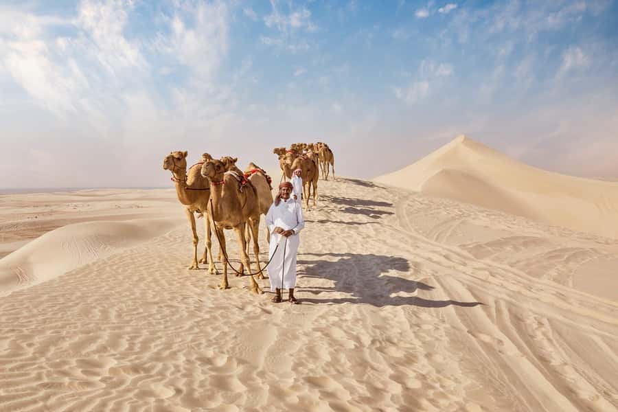 Doha Full Day Guided Tour in Qatar North and West - Thakhira mangroves and Purple Island