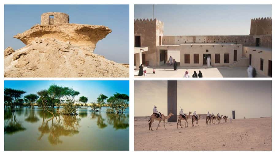 Doha Full Day Guided Tour in Qatar North and West - Al Khor harbor and the old coastal economy