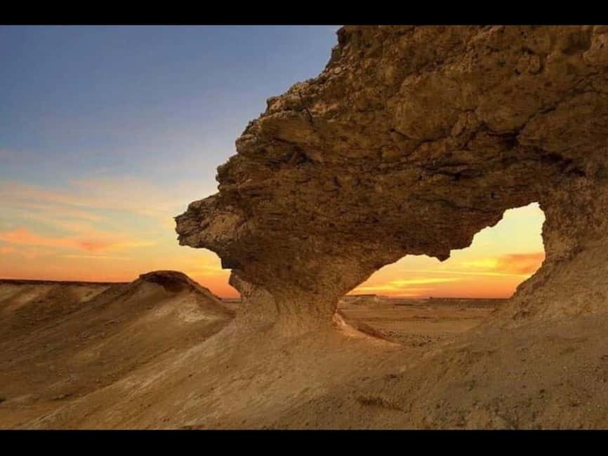 Doha: Full-Day North and West Tour with Forts and Qatari - Al Shahaniya Camel Racetrack