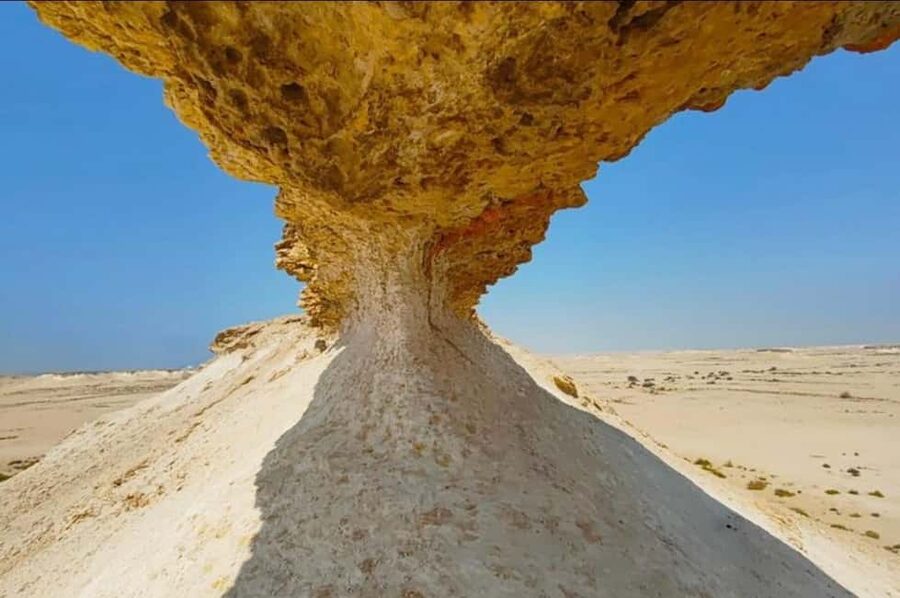 Doha: Full-Day North and West Tour with Forts and Qatari - Al Khor harbor and the coastal beginning