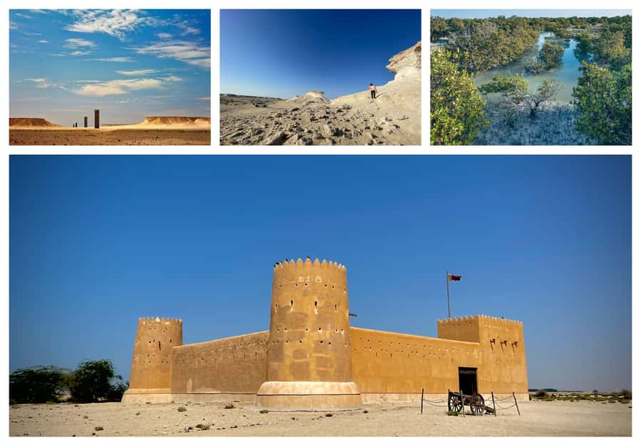 Doha Full Day North & West Tour | Rich History & culture - Al Thakira Mangroves: A Green Pause