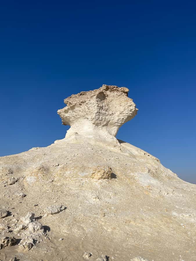 Doha Full Day North & West Tour | Rich History & culture - What The $136 Price Really Covers