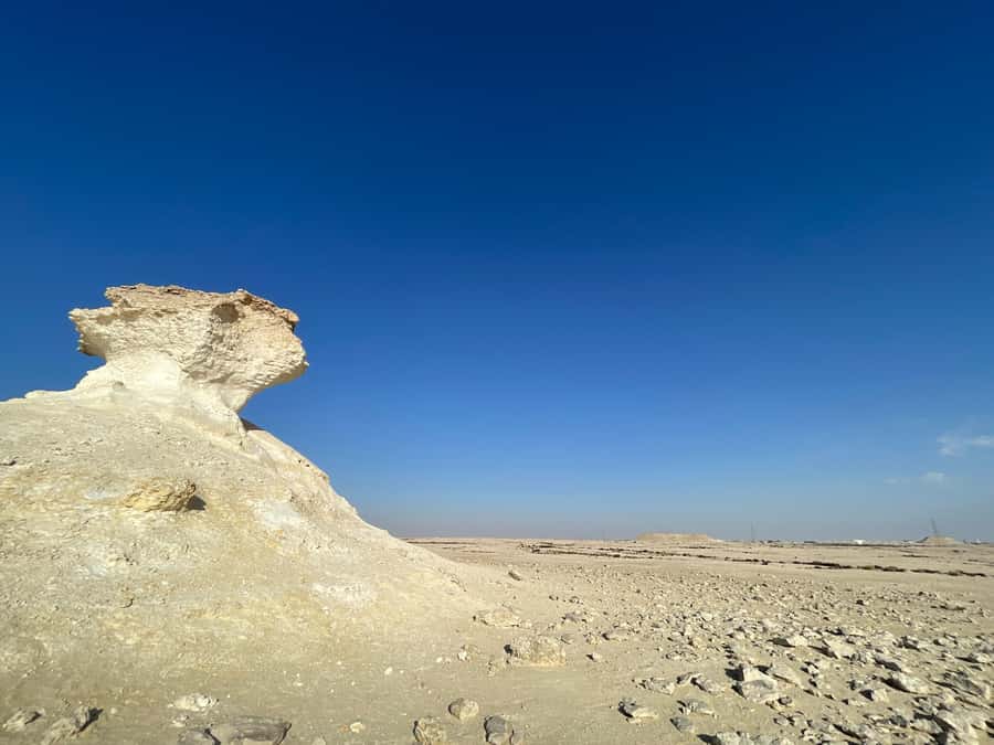 Doha Full Day North & West Tour | Rich History & culture - The Guide Can Make Or Break The Day