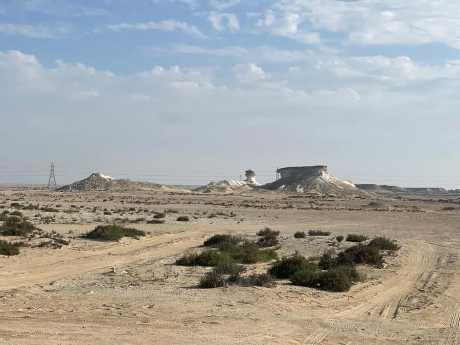 Doha Full Day North & West Tour | Rich History & culture - From Doha To Al Khor Harbor