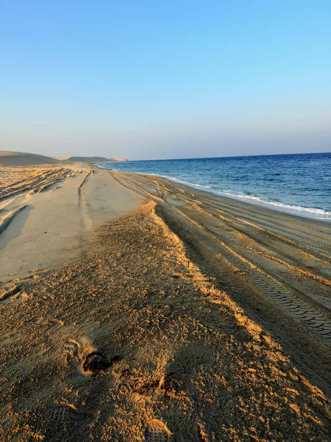 Doha: Guided Desert Safari Tour with Pickup & Drop Service - What the $26 Price Really Covers