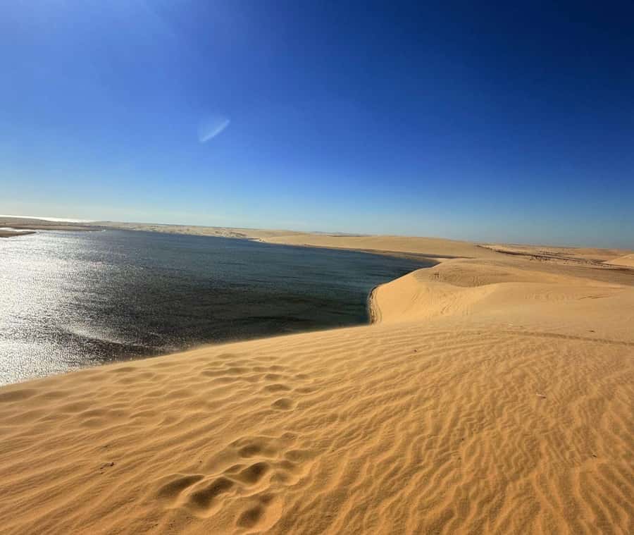Doha: Guided Desert Safari Tour with Pickup & Drop Service - Practical Tips for a Better Ride