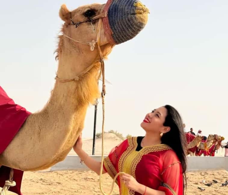 Doha: Half Day Desert Safari, Camel Ride , Sandboarding - Guides make a real difference