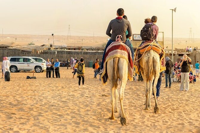 Doha Half Day Desert Safari Dune Bashing CamelRide & Sandboarding - Practical Details That Matter on the Day
