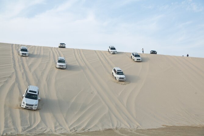 Doha: Half Day Desert Safari with Camel Ride and Inland Sea Tour - Tea and a short camel ride at Sealine Beach