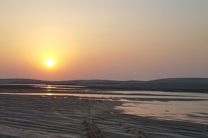 Doha : Half Day Desert Safari With SandBoarding and Camel Ride - Who should book this desert safari?