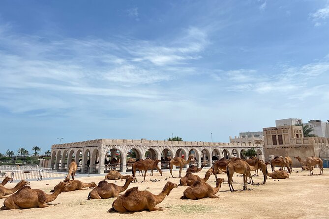 Doha Highlights Guided Tour With Dhow Cruise - Lusail Marina and Qatar’s iconic tower