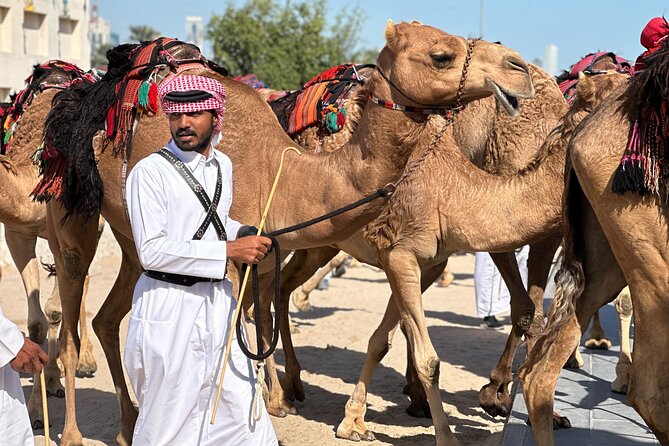 Doha Highlights Private City Tour with Licensed Tour Guide - The Pearl-Qatar, Doha’s polished modern side