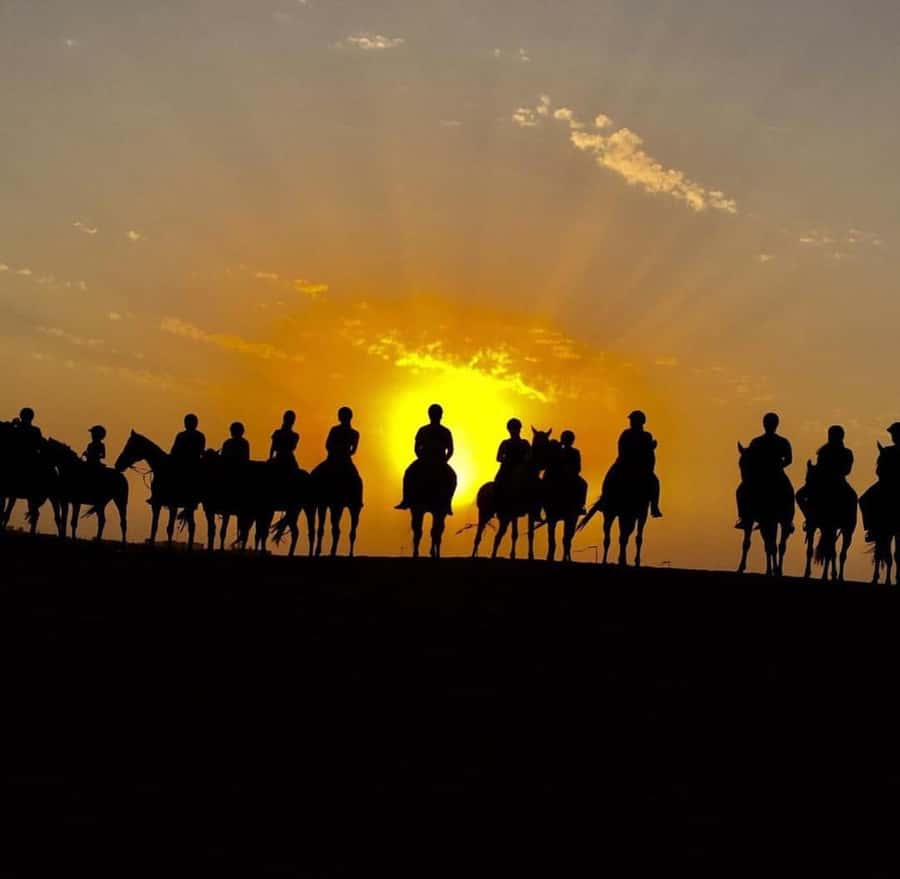 Doha : Horse Riding Tour With Transfer - Clothing, water, and comfort