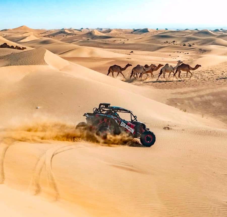 Doha: Inland Sea, Desert Safari, Camel Ride and Sandboarding - Sunset timing changes the mood