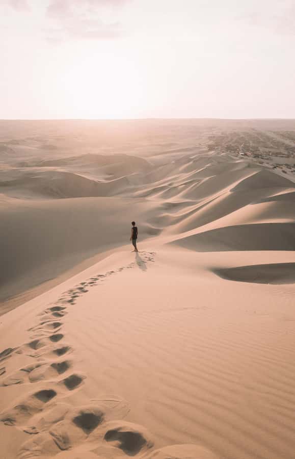Doha : Inland Sea Desert Safari ,Camel Ride & Sandboarding - Who will enjoy this desert safari most?