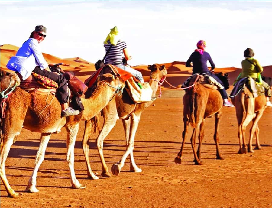 Doha: InlandSea Tour,Camel,Sand Boarding With All Activities - How the four-hour schedule actually feels