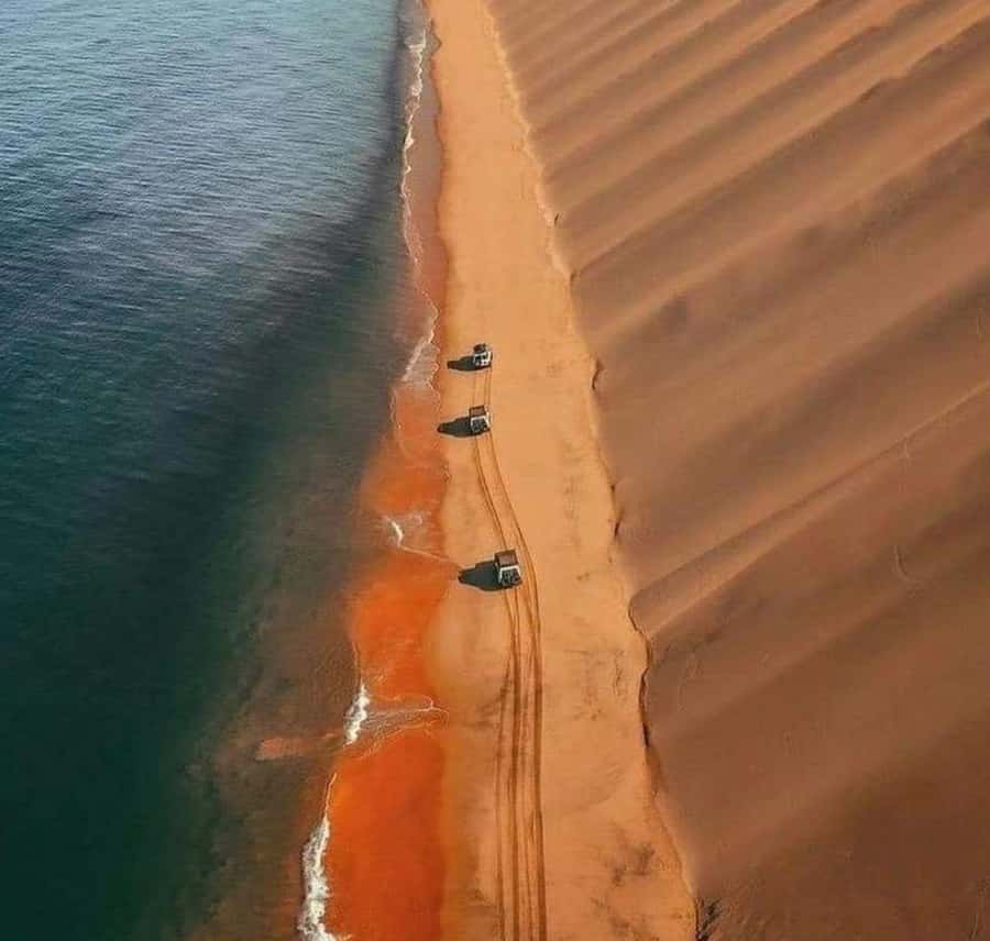 Doha: InlandSea Tour,Camel,Sand Boarding With All Activities - Guides, driving style, and group fit