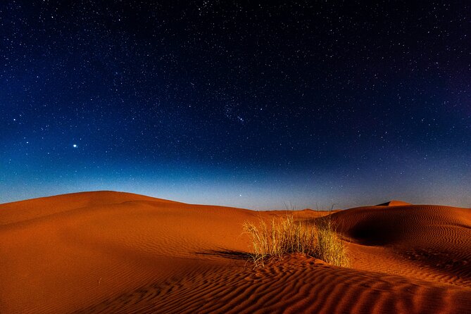Doha Night Desert Safari Adventure - Why this four-hour desert trip works