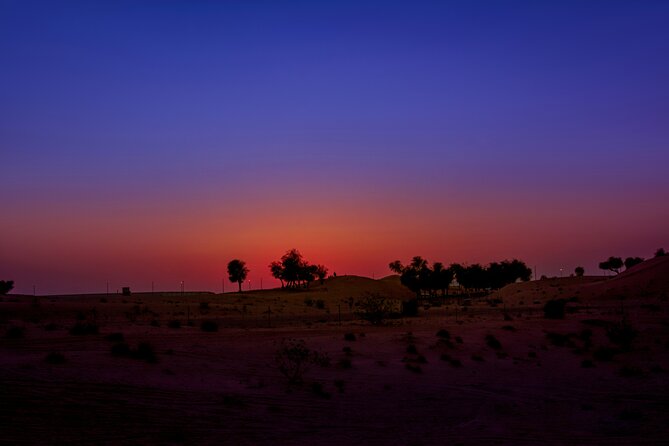 Doha Night Desert Safari Adventure - Sand boarding from the highest dunes