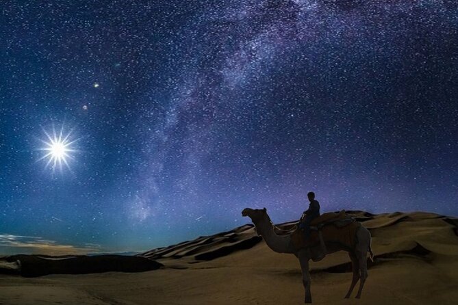Doha Night Desert Safari Camel Ride Dune Bashing with Transfer - Pickup from Doha and the ride toward Sealine