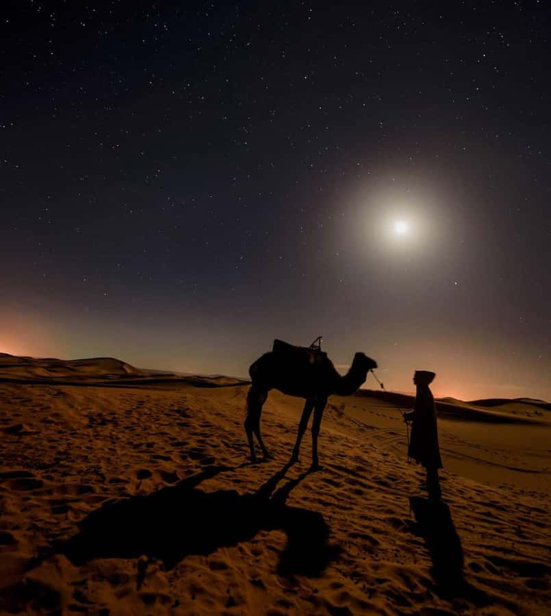 Doha Night Desert Safari Stargazing And Camel Ride - The guides shape the whole evening