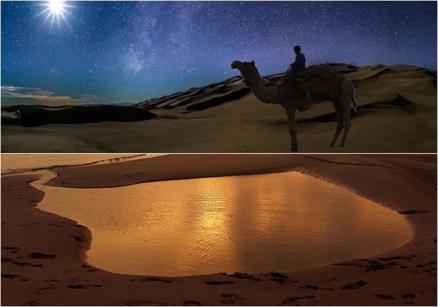 Doha Night Desert Safari Stargazing And Camel Ride - How the timing affects your visit