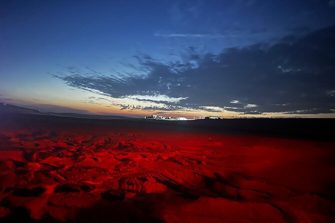 Doha Night Desert Safari Stargazing Camel Ride and Dune Bashing - Sealine Beach, camels, and a cup of tea
