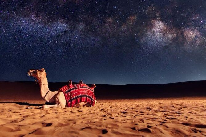 Doha Night Desert Safari Stargazing Camel Ride and Dune Bashing - Stargazing beside Qatar’s Inland Sea